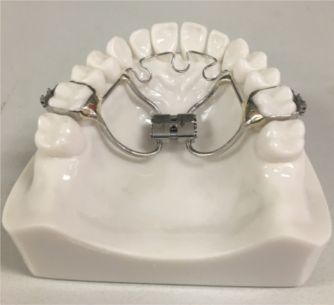 Ortholab – Ortholab Orthodontic Laboratory